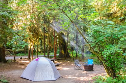 A Washington state campground.