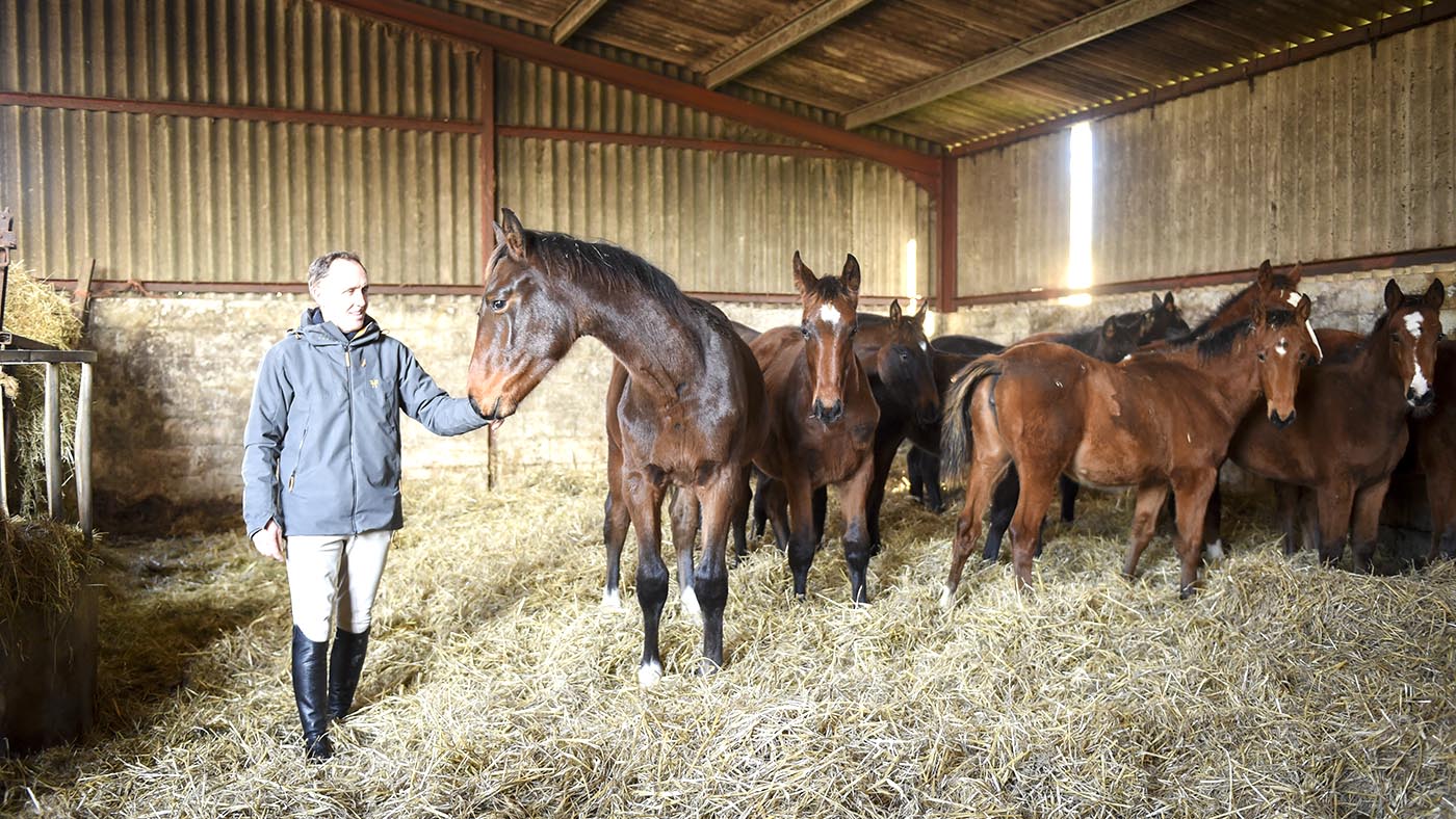 Breen Stud visit at Hickstead December 2018