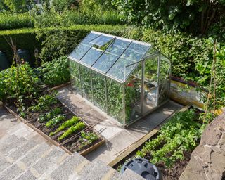 Garden with greenhouse and vegetable patch
