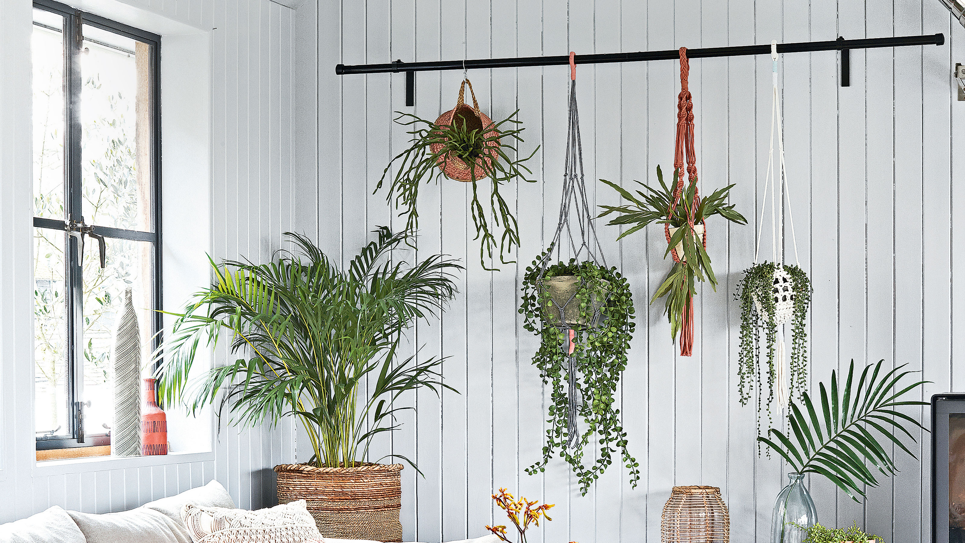 Living room with white panelled walls and rail holding hanging plants