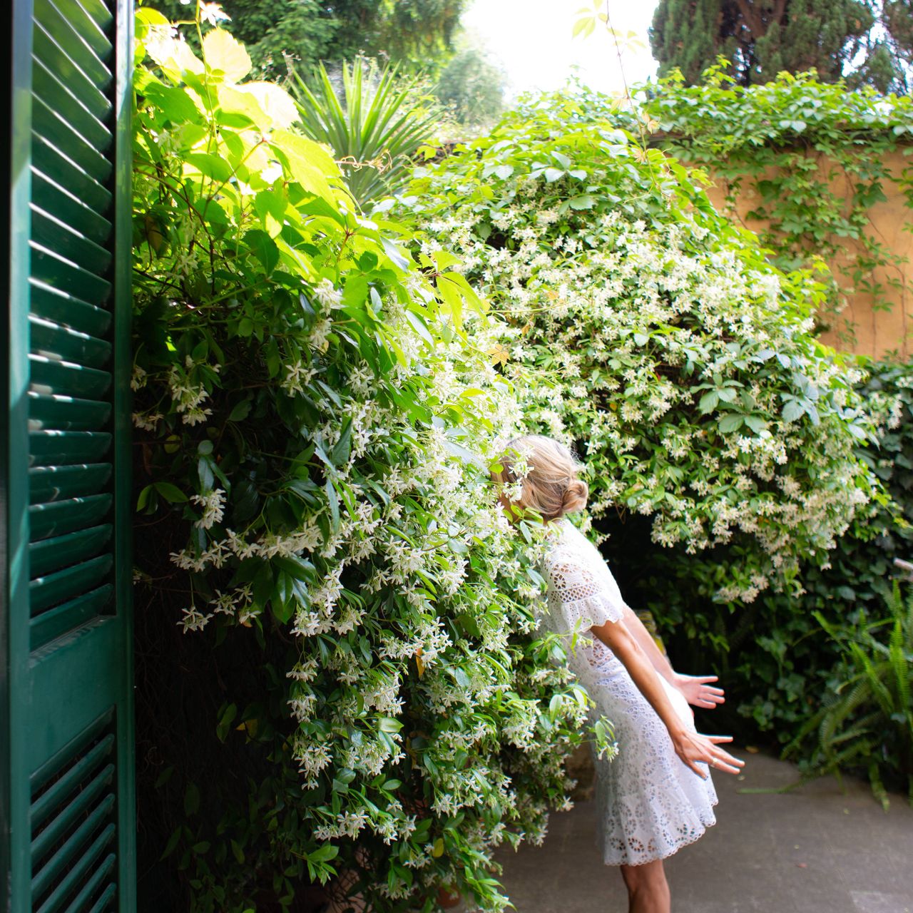 A woman in a white dress leans forward to smell a huge jasmine vine growing on the edge of a patio