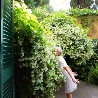 A woman in a white dress leans forward to smell a huge jasmine vine growing on the edge of a patio
