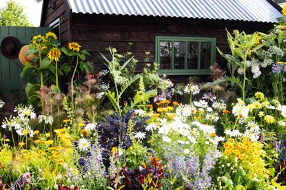Bright cottage garden planting scheme in best cottage garden plants