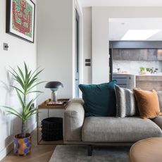 Grey sofa with coloured cushions, side table, houseplant, hanging artwork