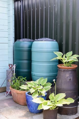 water containers in garden
