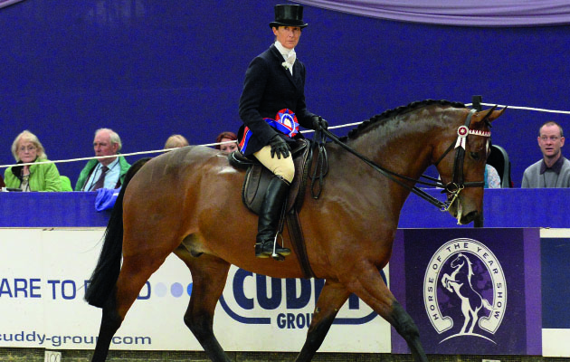 HOYS Simon Charlesworth