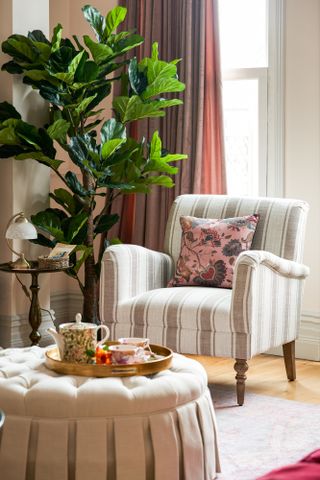 striped accent chair with big plant in corner of living room