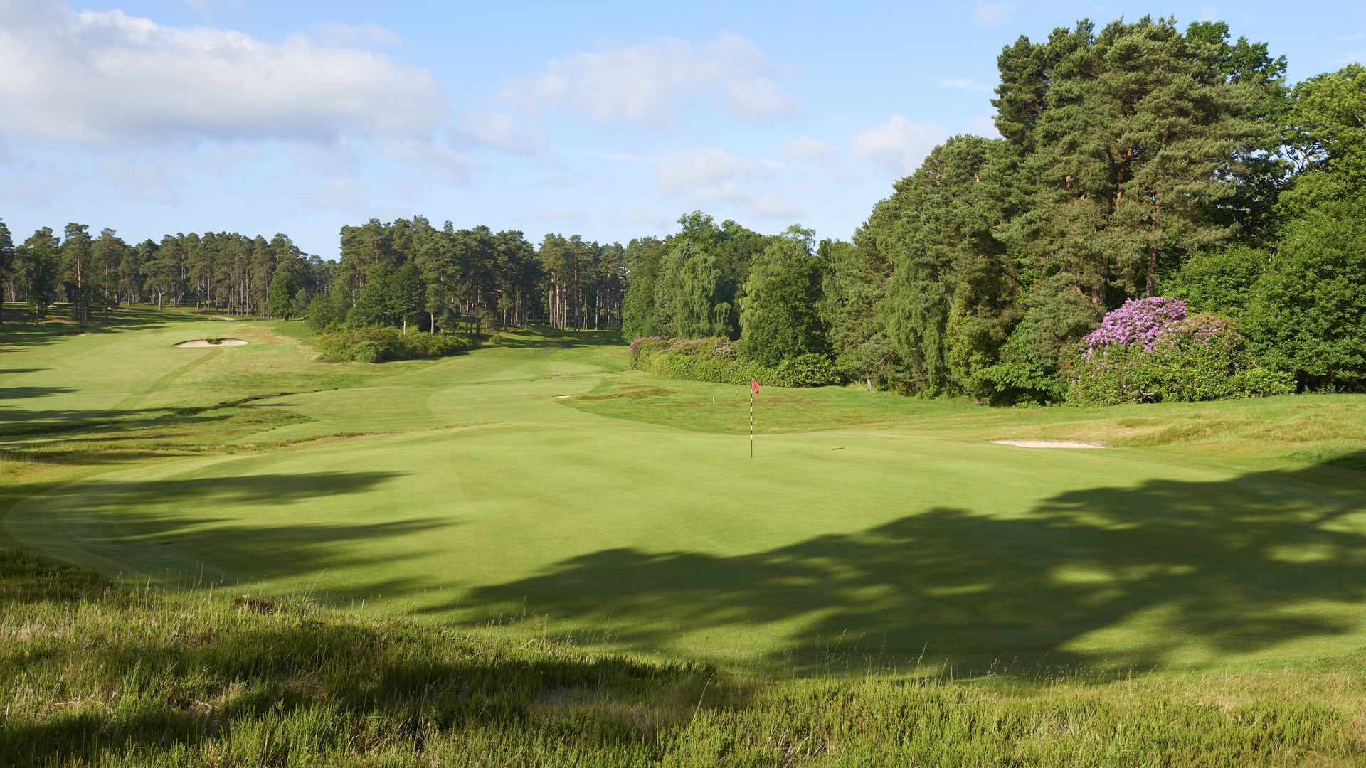 Swinley Forest Golf Club: Course Review, Green Fees, Tee Times and Key ...