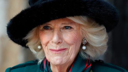 Queen Camilla’s royal cypher unveiled, seen here the Queen Consort visits the 93rd Field of Remembrance