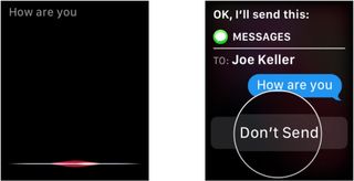 Send a message with Siri, showing how to speak your message, then tap Don't Send to stop the message from being sent