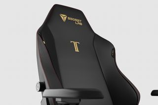 Secretlab Titan Evo 2022 Full Length Ergonomic Backrest