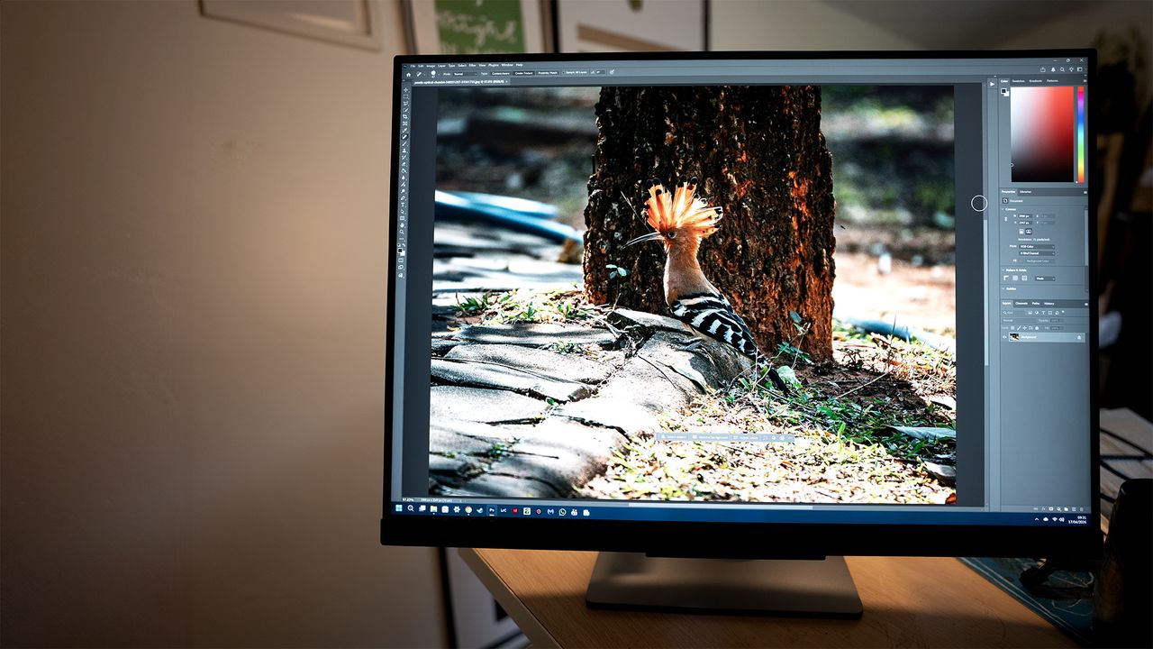 BenQ RD280UG programming monitor