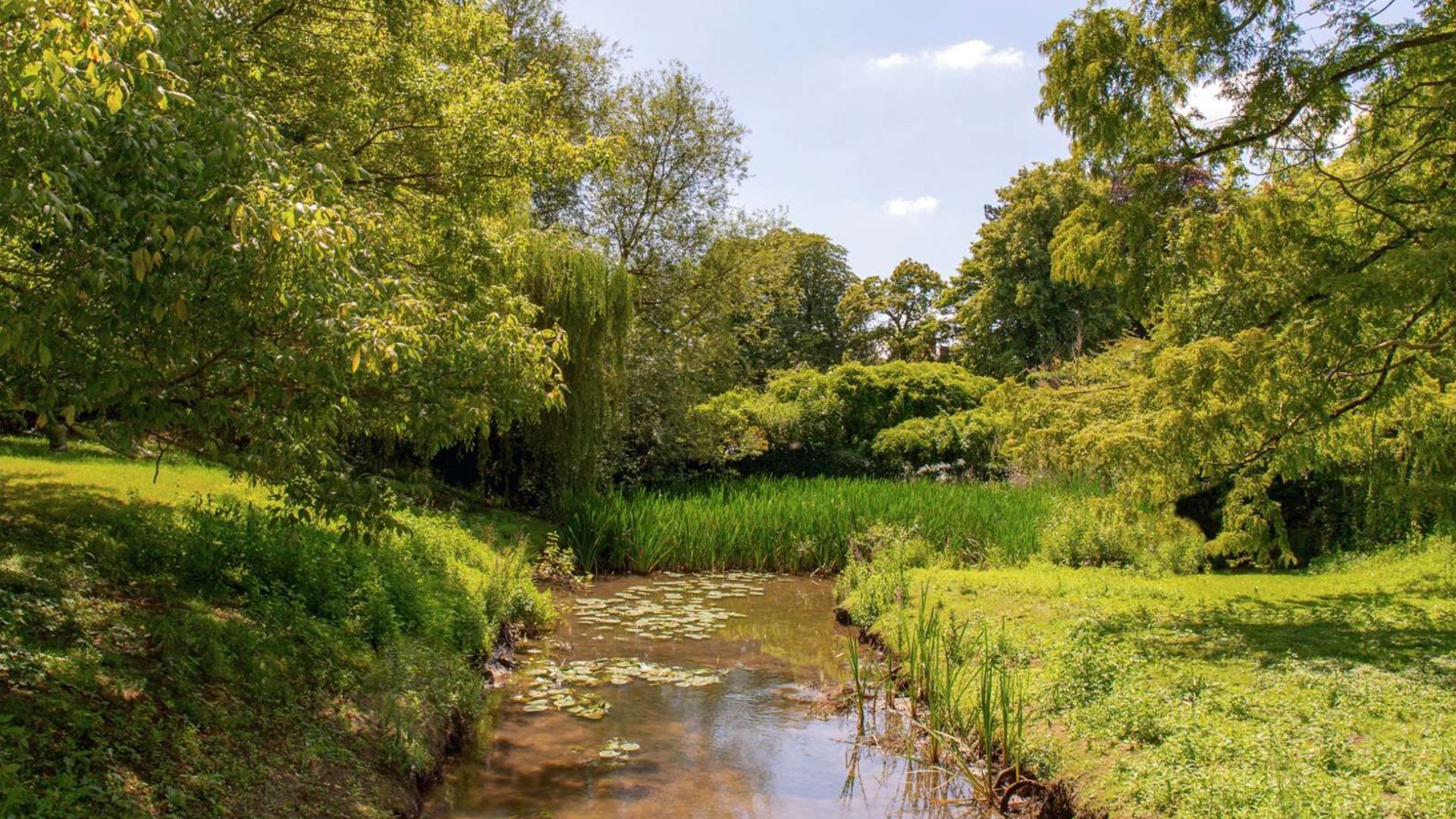 an image of the gardens