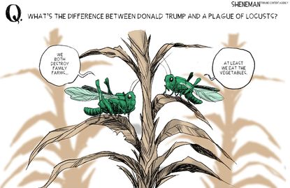 Political Cartoon U.S. Trump China tariffs plague locusts farms economy