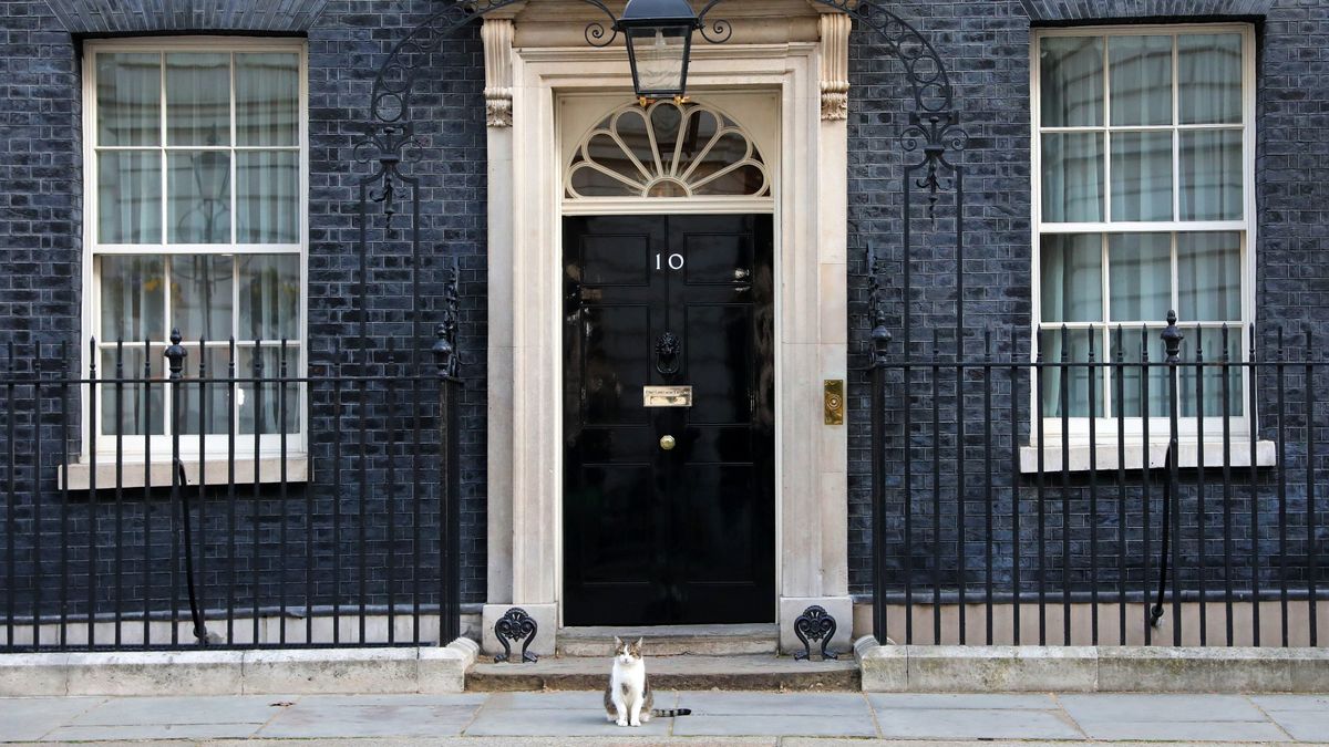 Larry the cat outside number 10 Downing Street