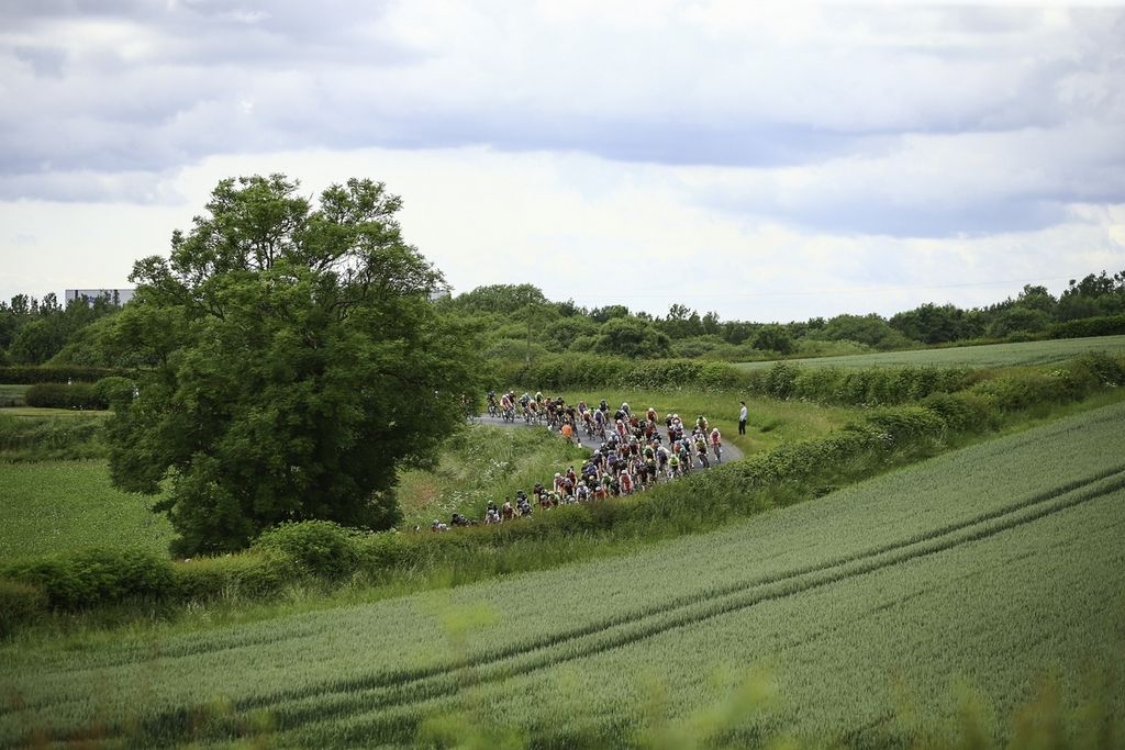 The green country side