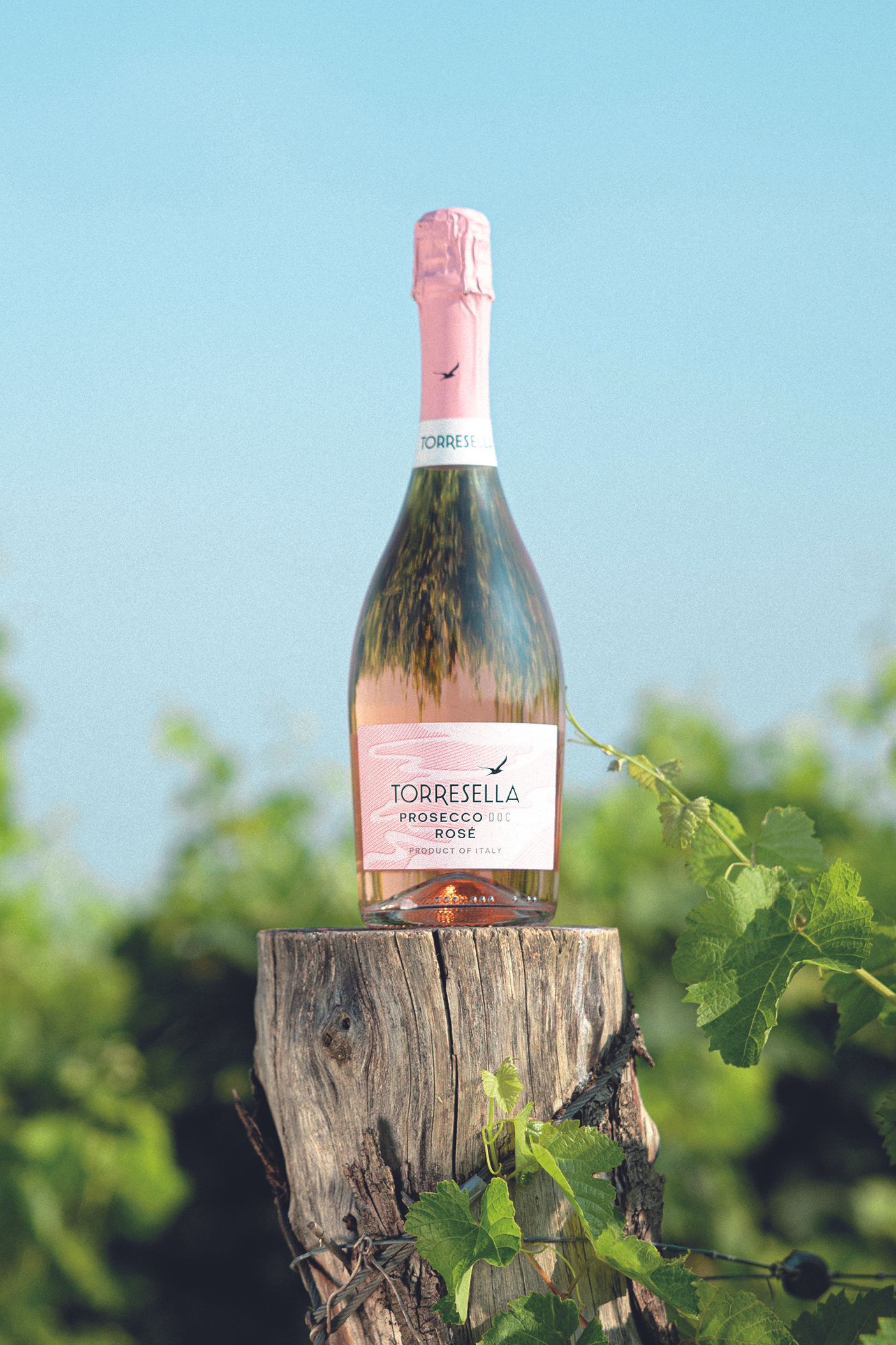bottle of sparkling wine