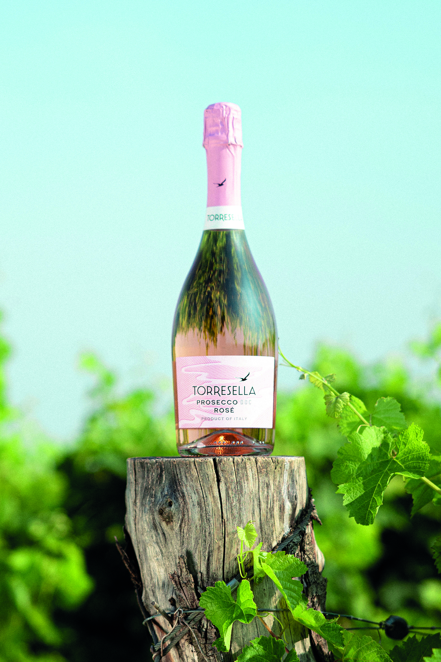 bottle of sparkling wine