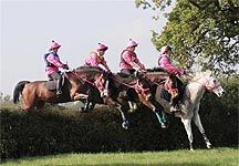 pink-teamchasers.jpg