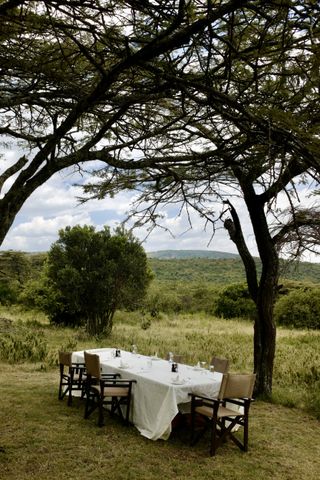 Lunch setting in the Maasai Mara