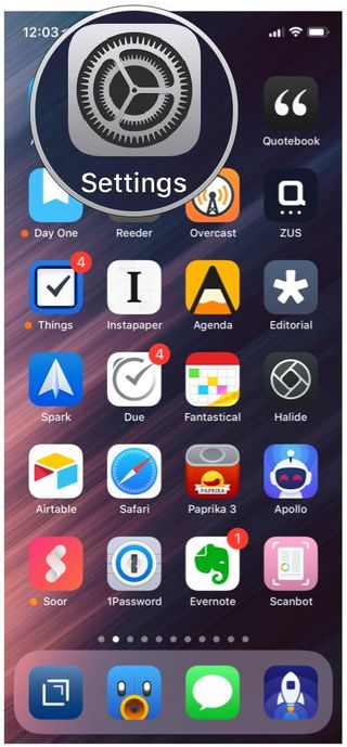 iOS 12 home screen Settings