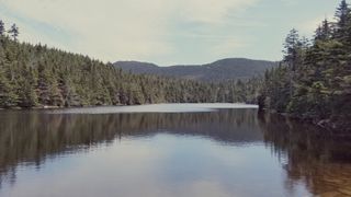 Sterling Pond is a scenic pond framed by mountains and forest in Vermont