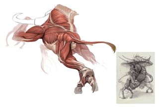 rear view with muscles of creature