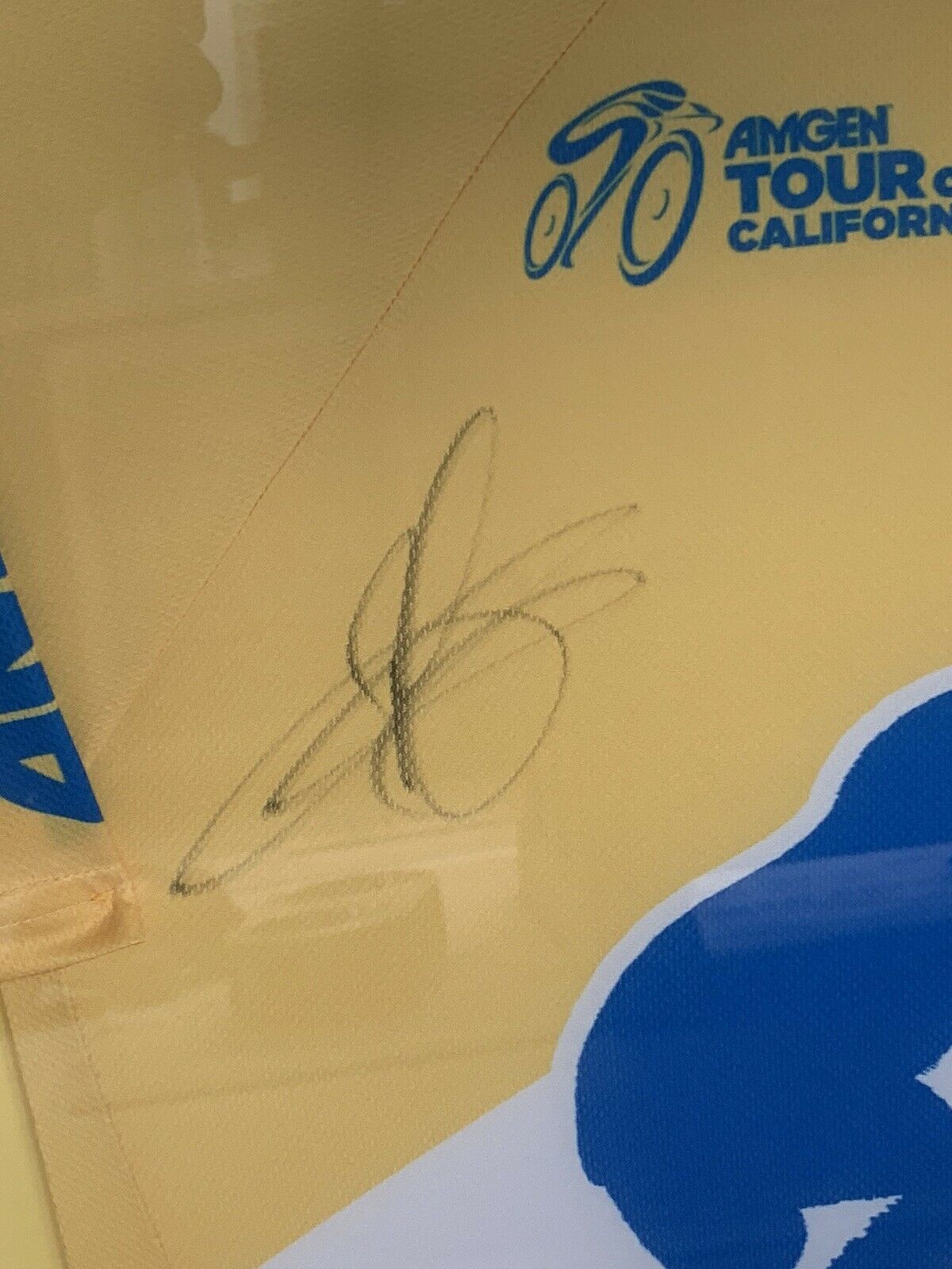 Sagan's scribble makes this signed jersey all the more valuable
