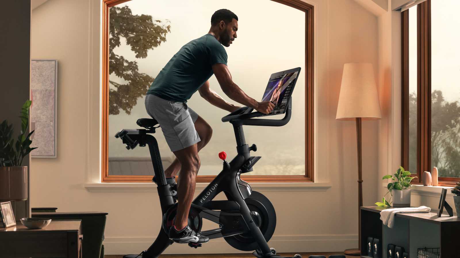 Peloton bike at gym online