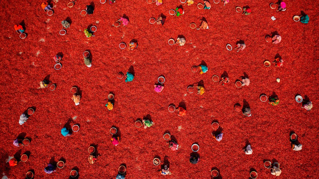 This vibrant bird’s-eye view of a chili farm in Bangladesh just won a major aerial photography award