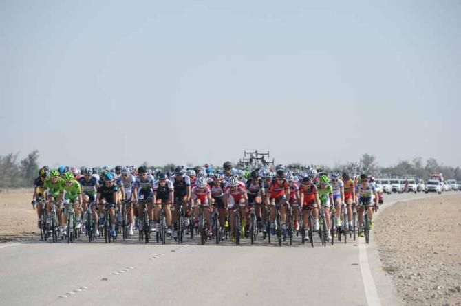 The peloton on stage 1 of the Tour of Qatar