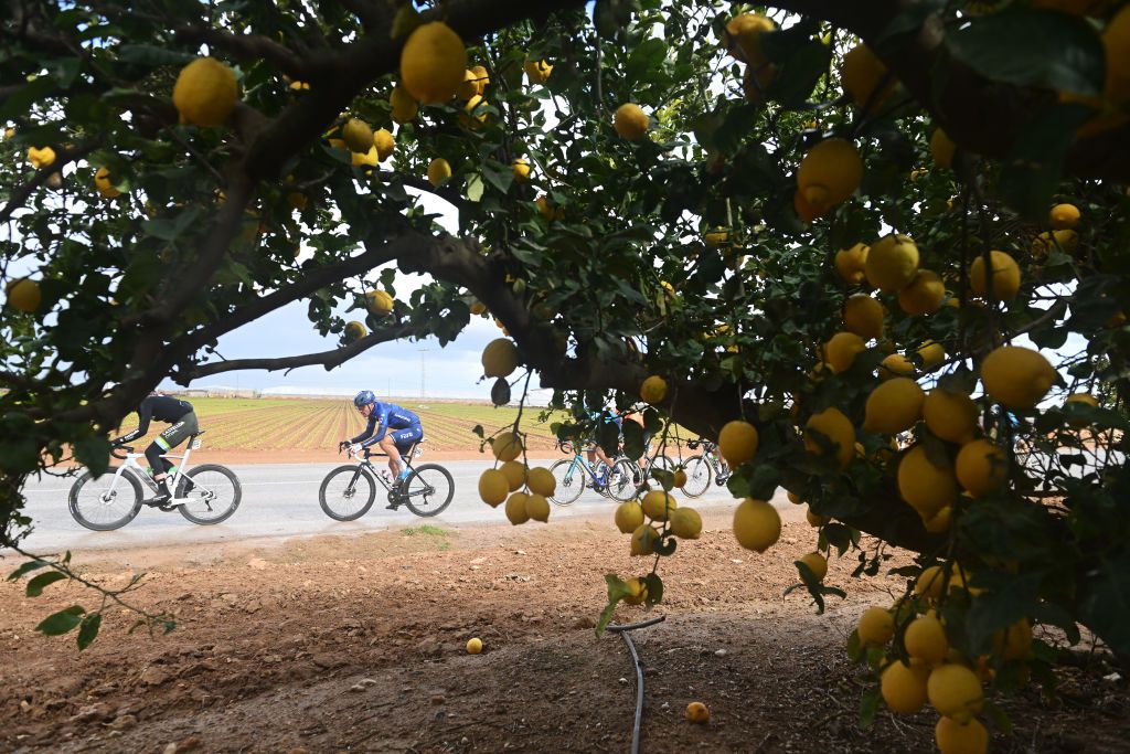 The lemon trees of the Vuelta Ciclista Murcia