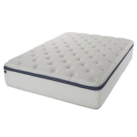 The WinkBed mattress: was