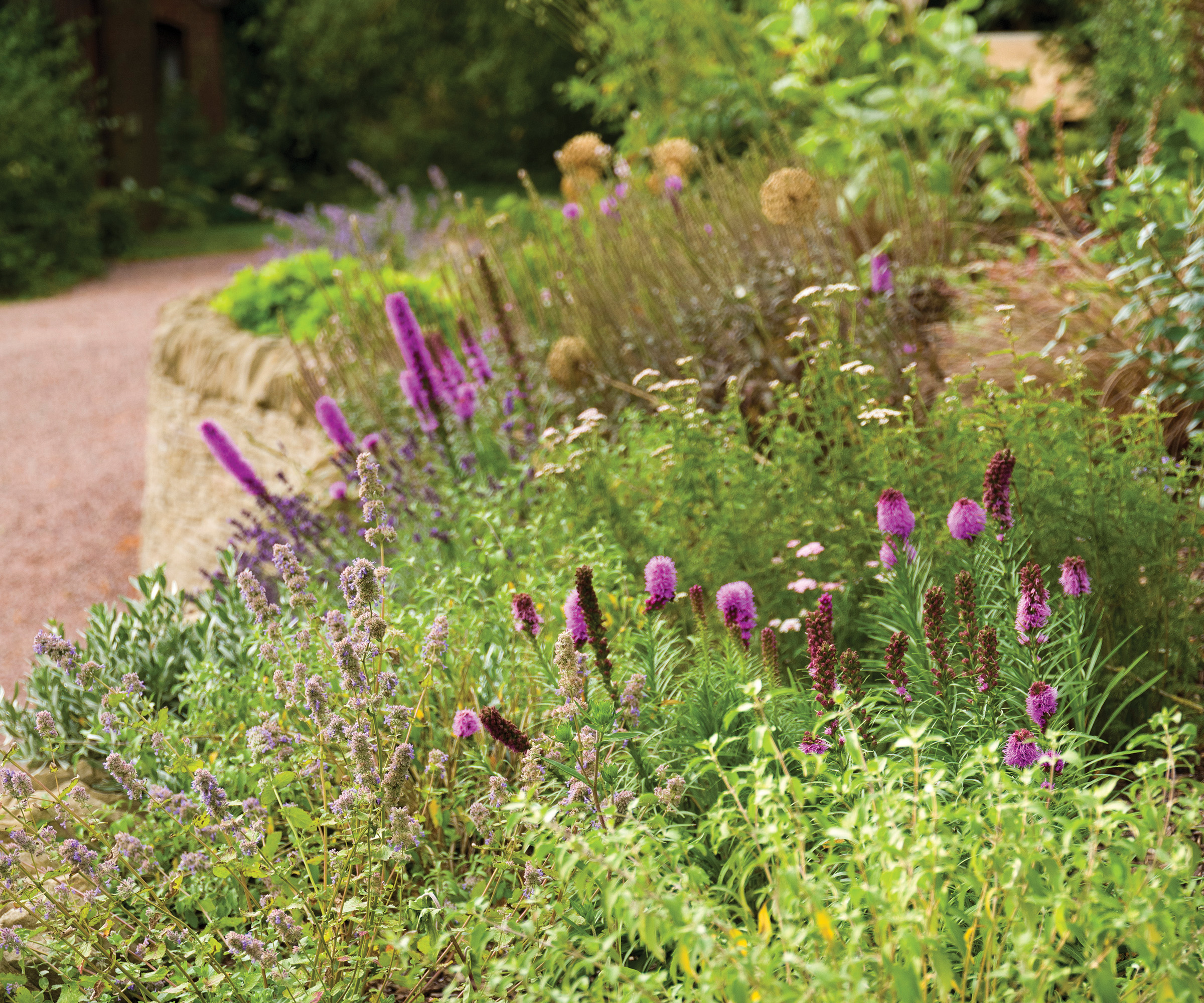 Close up of a garden bed planted with pollinator friendly plants and summer herbs