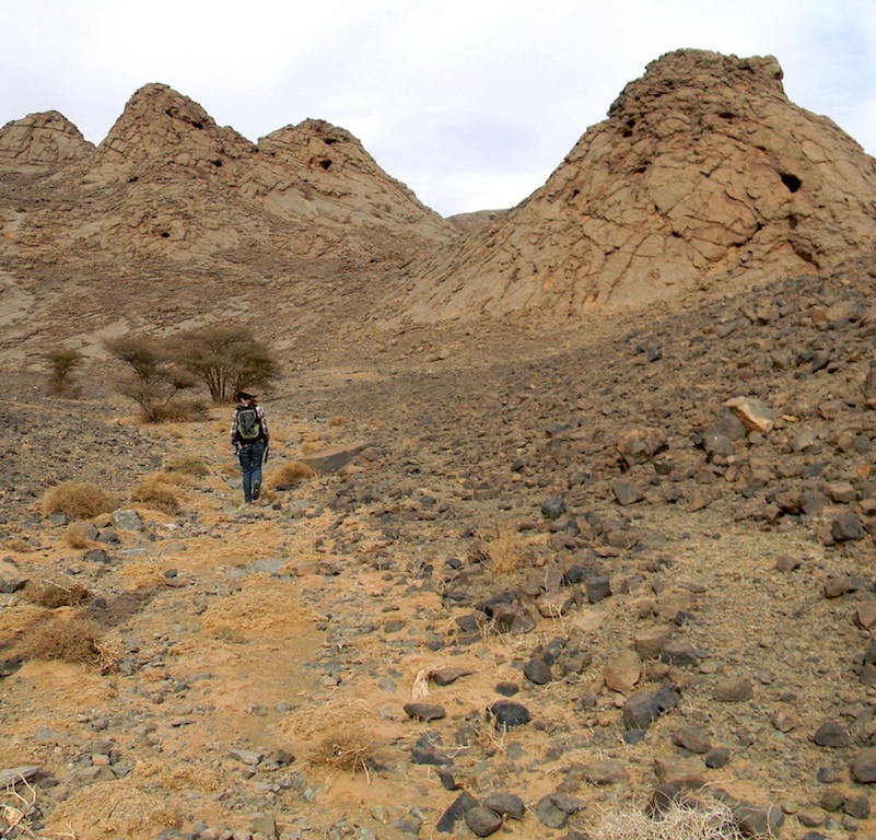 Abigail Allwood treks towards a series of mud mounds in the Morocco desert.