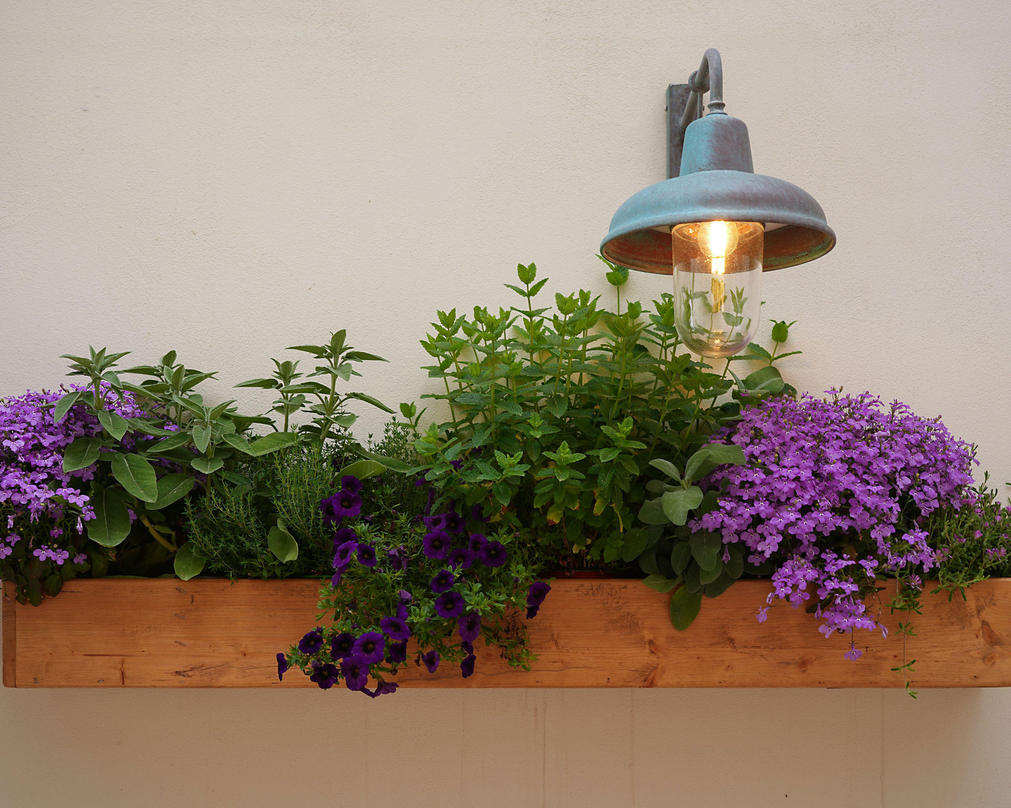 wooden wall mounted planter with purple planting and wall light