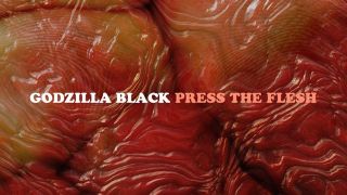 Godzilla Black Press The Flesh album cover