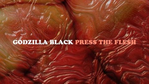 Godzilla Black Press The Flesh album cover