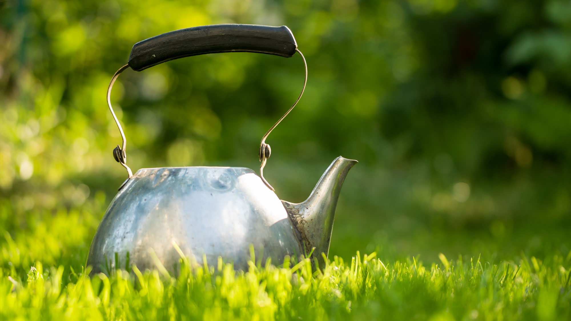 kettle sitting on grass lawn in garden