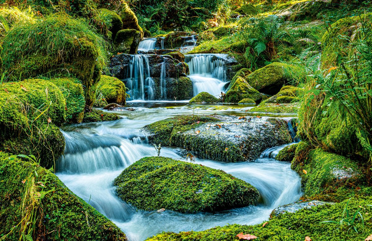 The best sounds of the countryside | Country Life