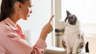 Woman telling off her cat