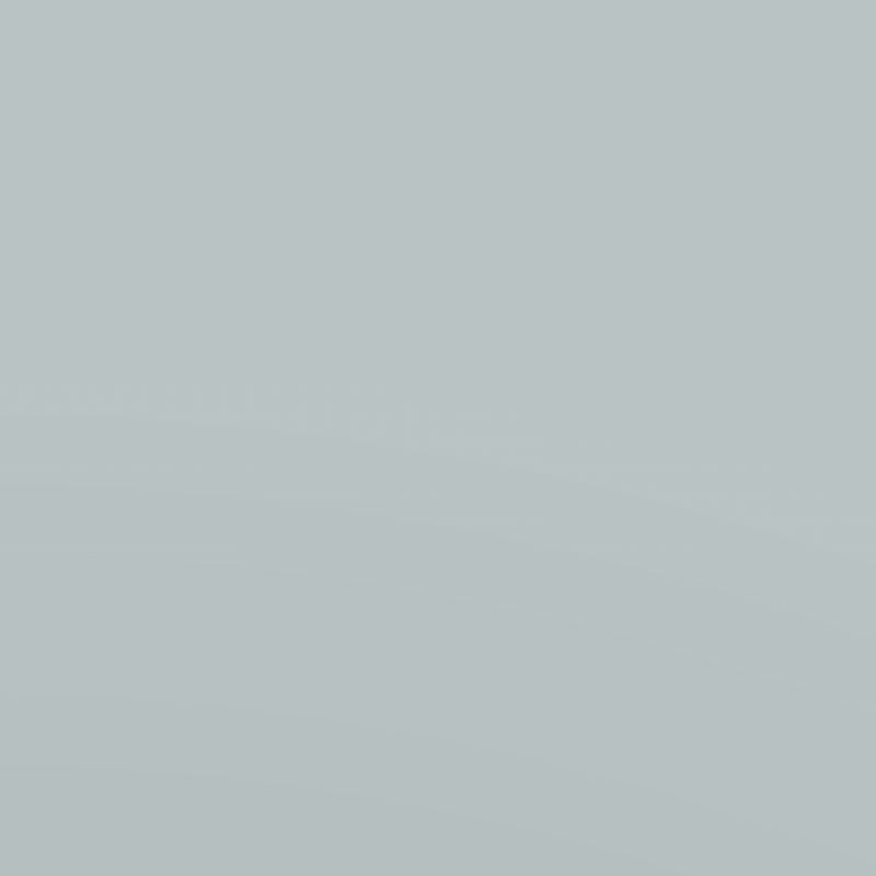 pale blue-gray paint swatch