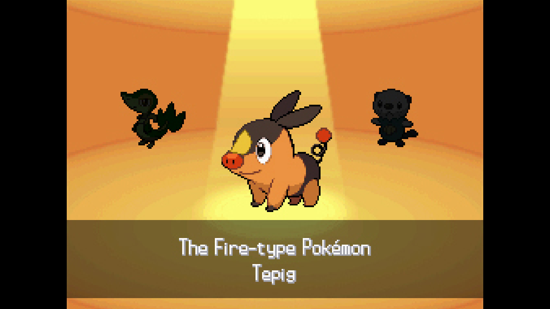 The starter selection screen from Pokemon Black &amp;amp; White, showcasing Tepig, an orange fire-type pig