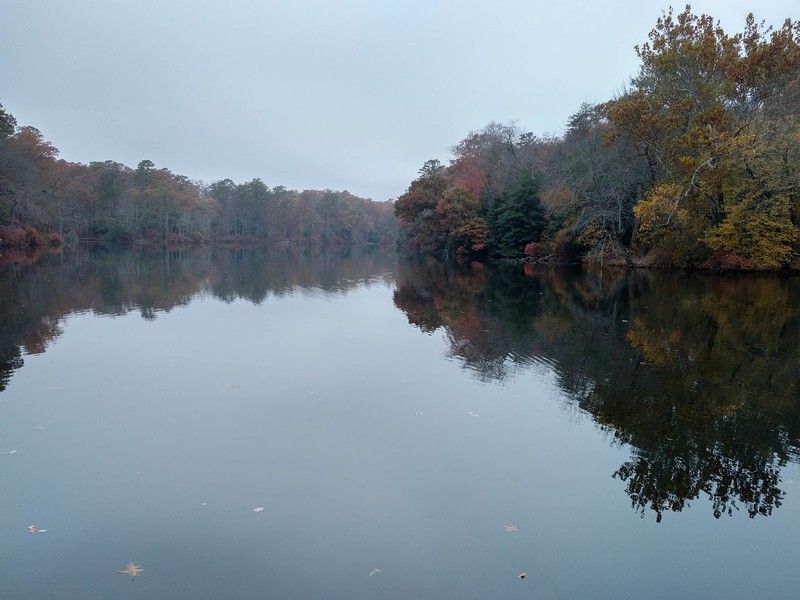 BlackBerry Priv camera sample