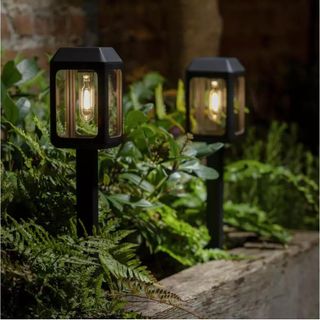 Habitat Warm White Solar Stake Lights in garden border