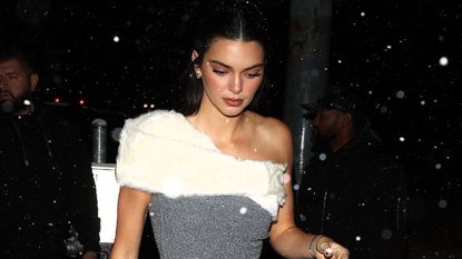 Kendall Jenner Wore a Mini Dress, Heels, and No Coat in the Snow