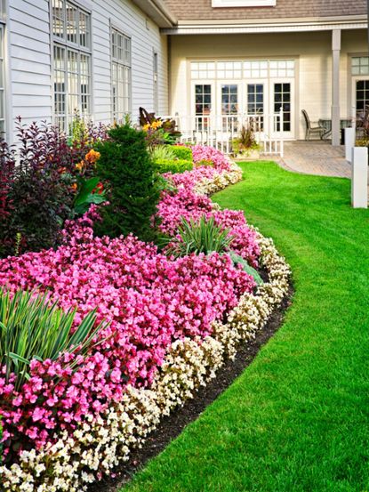 Flower Border Of Garden