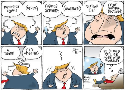 Political cartoon U.S. Trump&nbsp;misstatements collusion