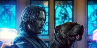 John Wick and his loyal canine companion