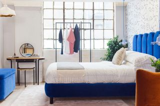 small studio apartment with statement blue bed